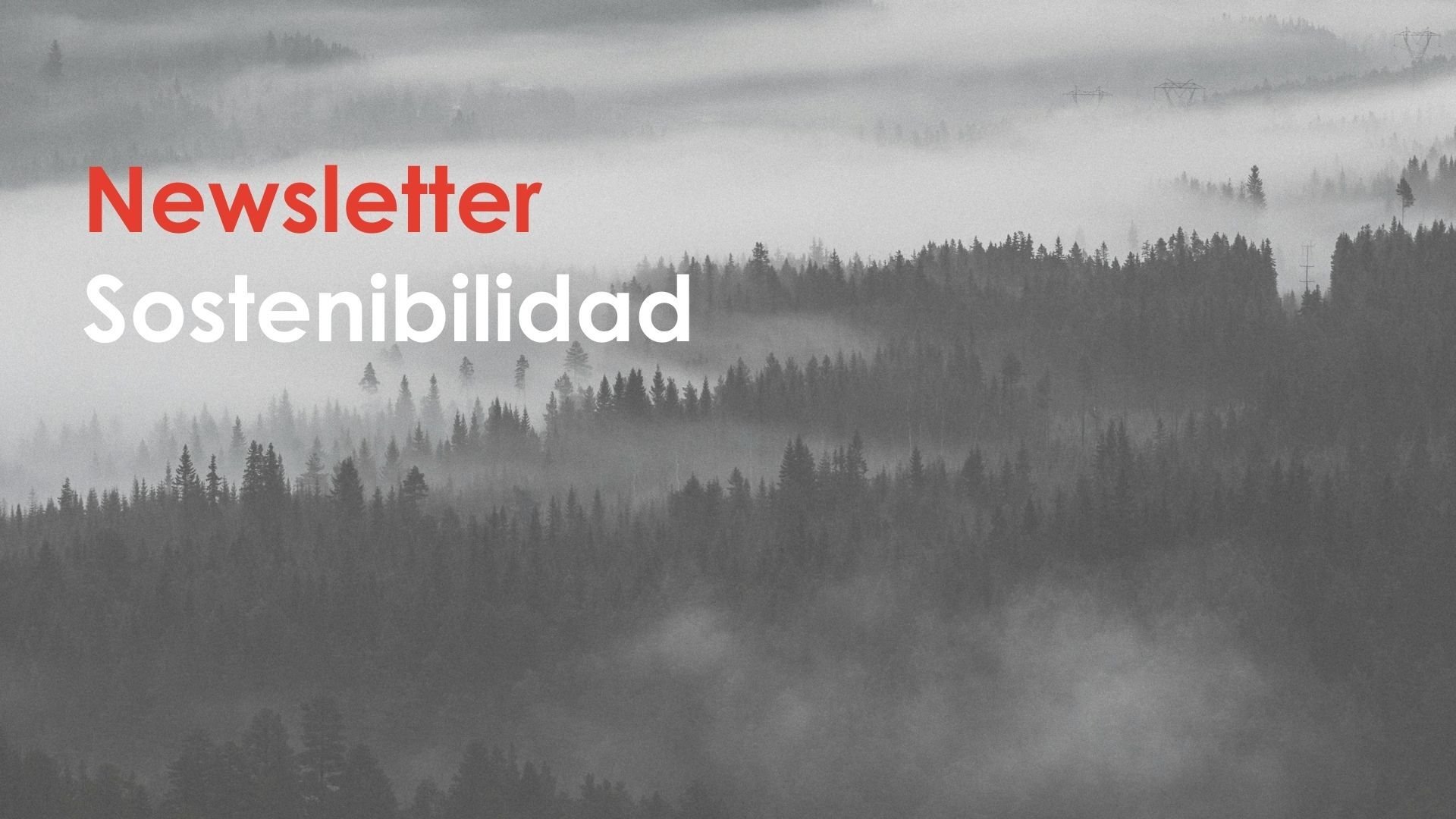 Encabezado (3)