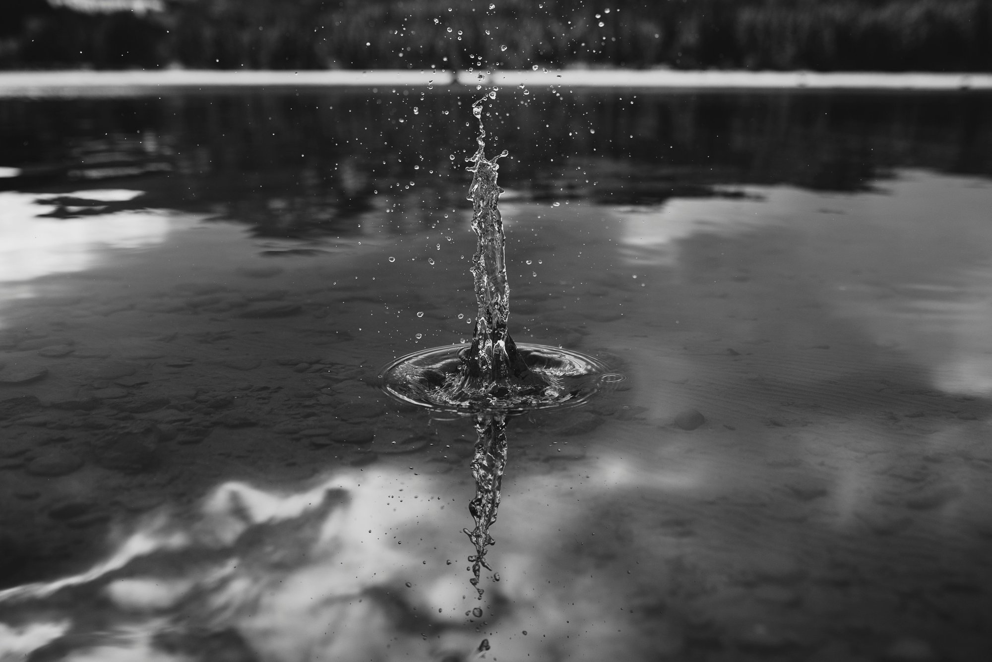 jasmin-causor-bNeALMH8Zpg-unsplash