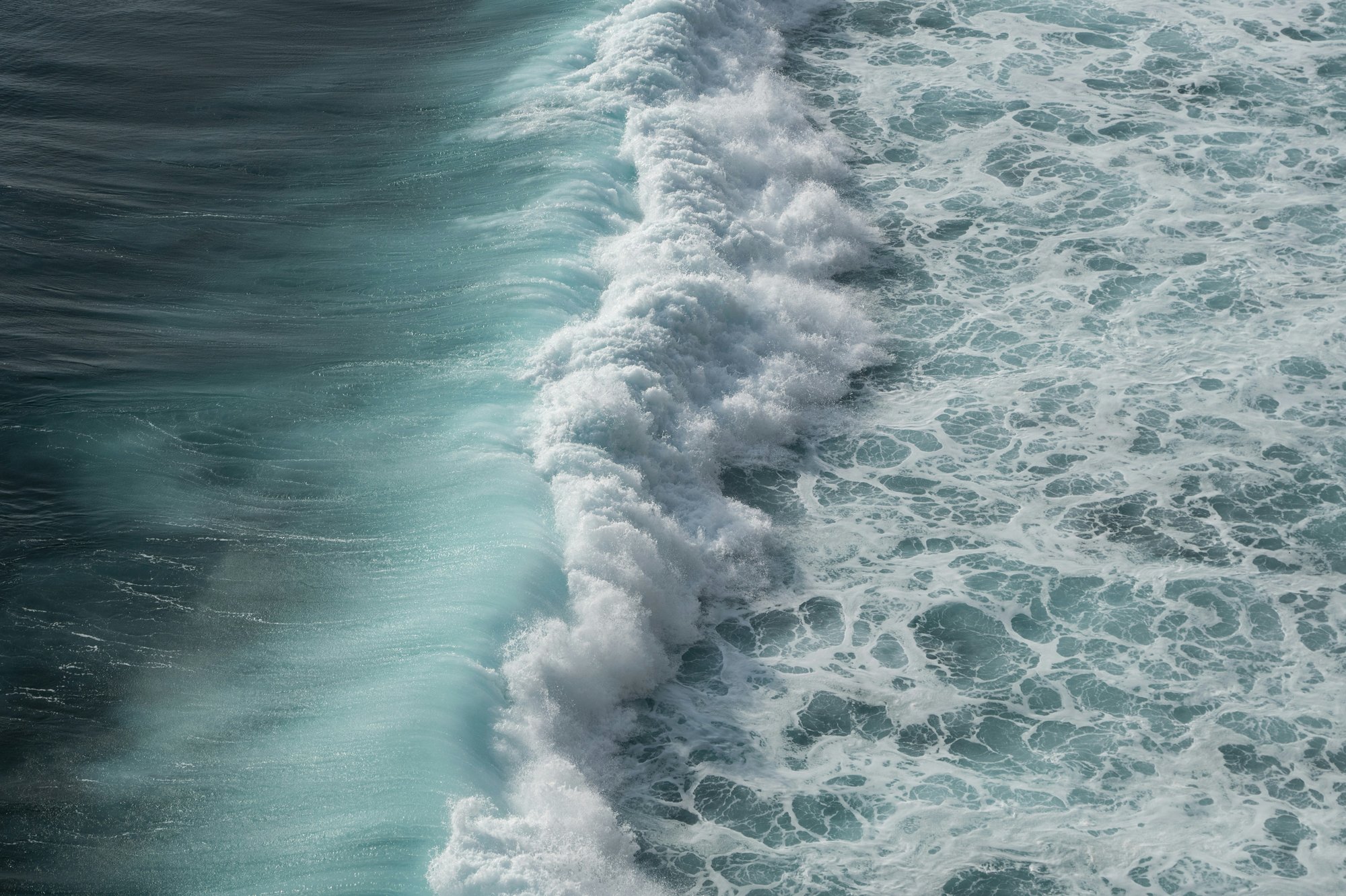polina-kuzovkova-Uw4HwxQjscU-unsplash