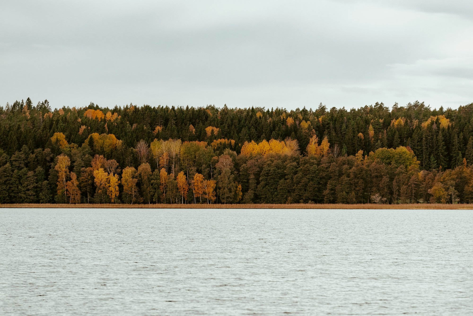 sandra-seitamaa-Owso6-7sJe8-unsplash