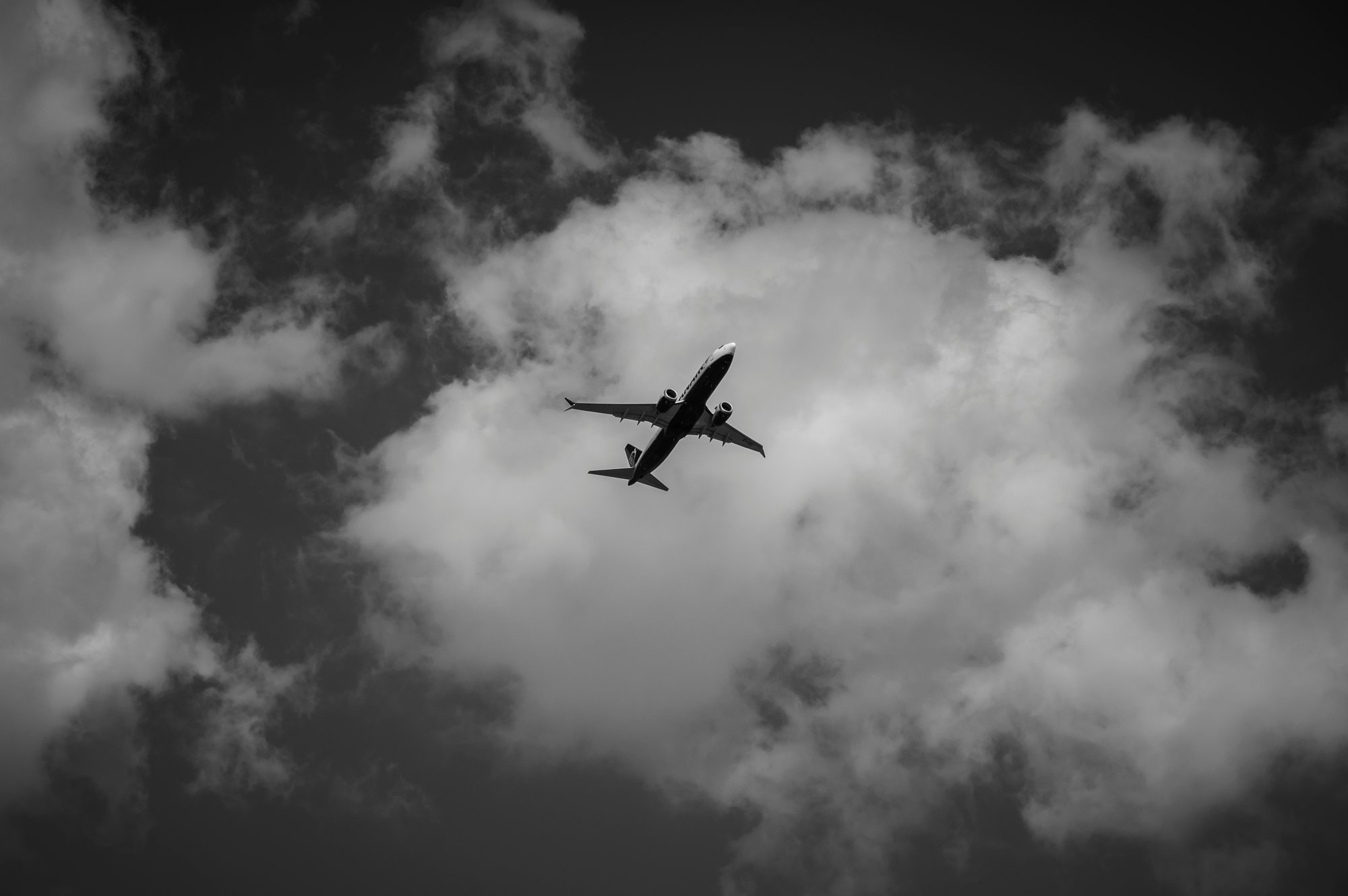 siebe-vanderhaeghen-kRjPmLUAjzk-unsplash